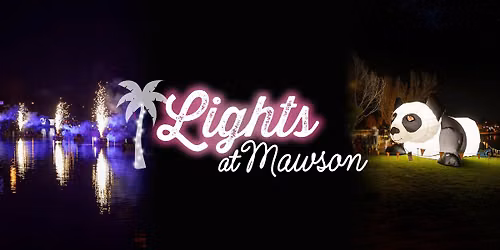 Lights at Mawson