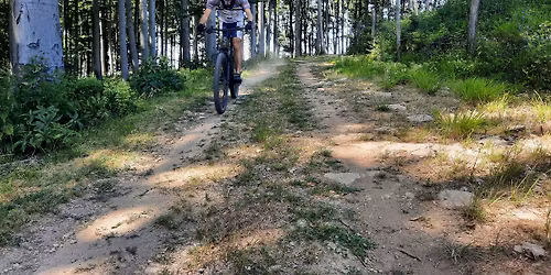 Ir\u00e1ny a Mecsek! - ebike h\u00e9tv\u00e9ge Szeksz\u00e1rd \u00e9s Mecsekn\u00e1dasd k\u00f6rny\u00e9k\u00e9n