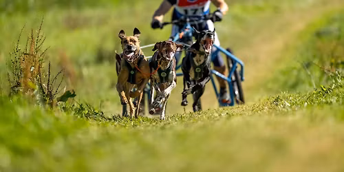 LOUKA 2026 | Je\u017ed\u011bn\u00ed na Val\u0161e