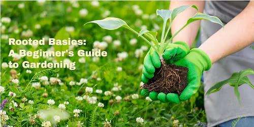 Rooted Basics: A Beginner's Guide to Gardening