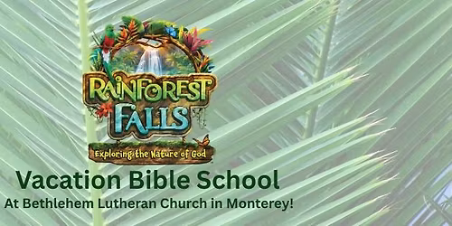 Rainforest Falls VBS