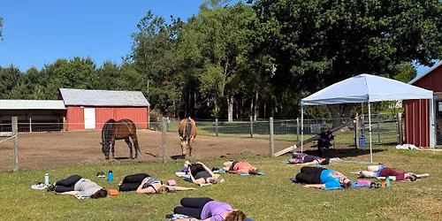 Yoga in the Presence of Horses