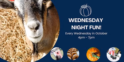 10\/29 Wednesday Night Fun