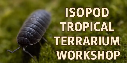 Isopod Tropical Terrarium Workshop
