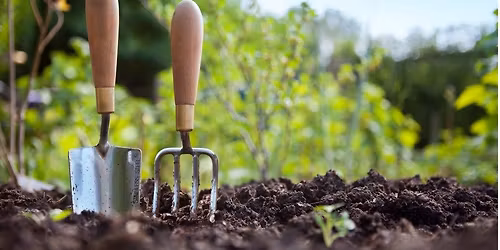 KFF Gardening Working Bee