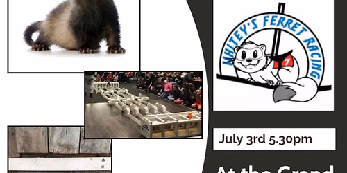 Whiteys Ferret Racing hosted by Wellington Redbacks