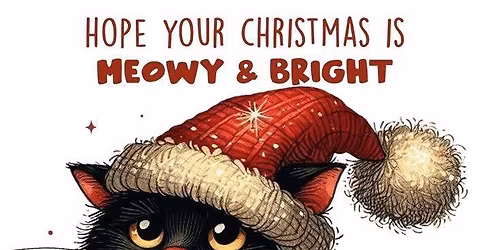 Bucket collection \ud83d\udc3e