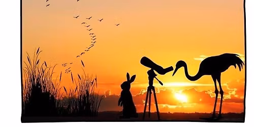 Szilveszteri darules a szegedi Feh\u00e9r-t\u00f3n\u00e1l 12.27