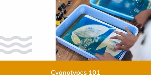 Cyanotypes 101