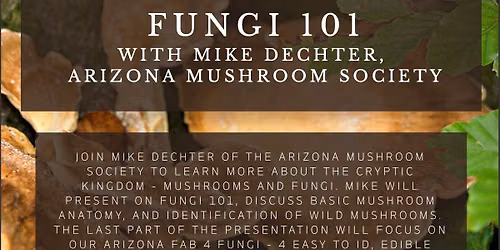 Adult Workshop: Mushrooms and Fungi 101