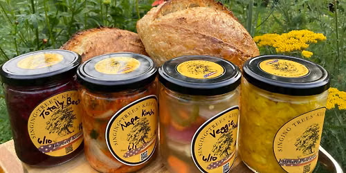Vegetable Fermentation 101