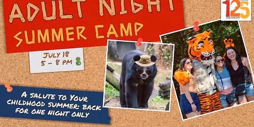 Adult Night: Summer Camp