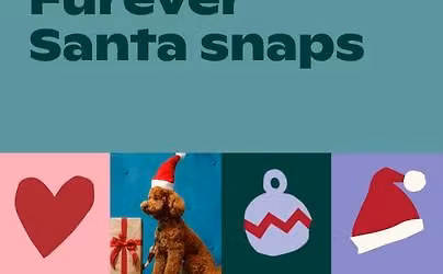Furever Santa Snaps at Secret Harbour Square