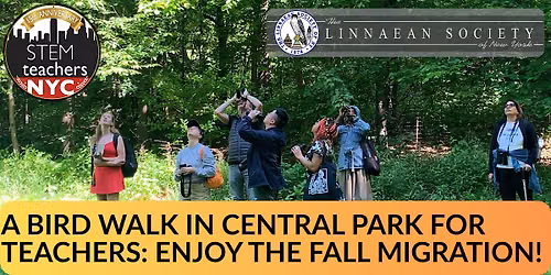 A Bird Walk in Central Park for Teachers: Witness the Fall Migration!