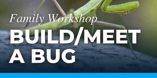 Build\/Meet a Bug Family Workshop
