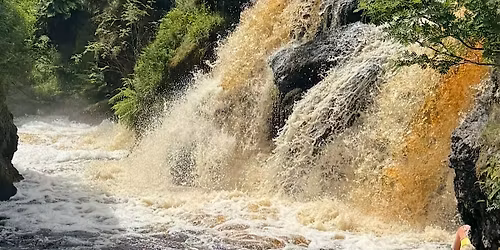 WILD SUMMER WELLNESS POOL PARTY - Yoga, Dancing, 2 cold water dips