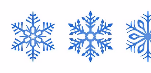 Miss Snowflake Pageant  January 17, 2026   Prosperity, SC