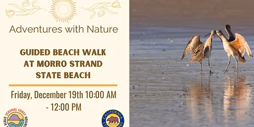 Guided Beach Walk at Morro Strand State Beach