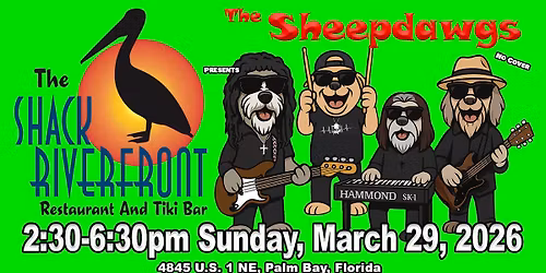 SHEEPDAWGS @ THE SHACK SUN March 29 2026