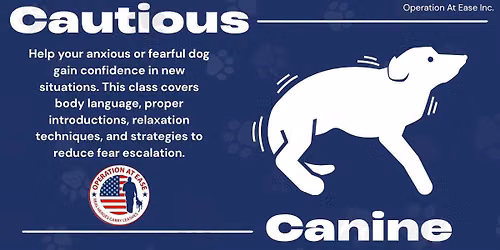 Cautious Canine 