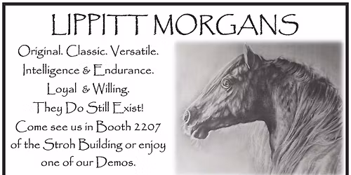 Lippitt Morgan Demo in Mallary South Bldg