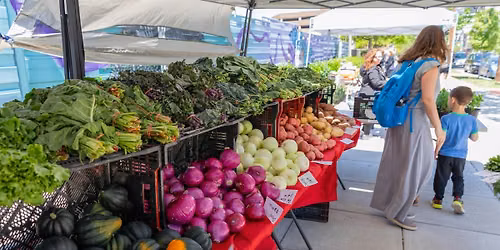 Sunday Commons Market + Collage Workshop