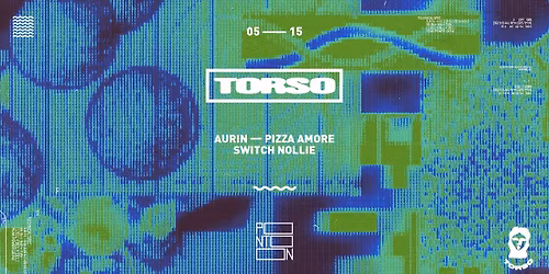 TORSO: Aurin - Pizza Amore - Switch Nollie ~ Pontoon