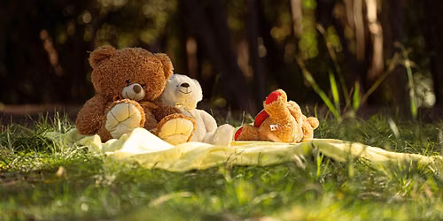 Teddy Bears on Tour: Chelsea Green Park North