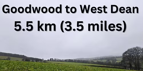 Goodwood & West Dean 3.5 mile Thursday January 11.30am