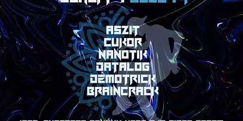 DnB Step Hungary workshop