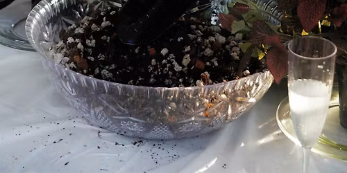 Growin' & Glowin' : A Rooftop Repotting Experience