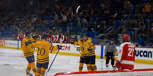 Quinnipiac Bobcats at RPI Engineers Mens Hockey