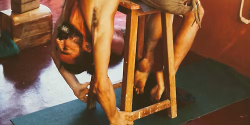 Iyengar Yoga Workshop in Bulgaria