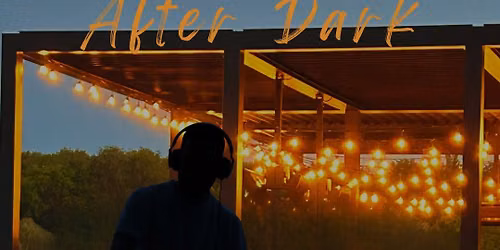 Turtle Bay Pub After Dark