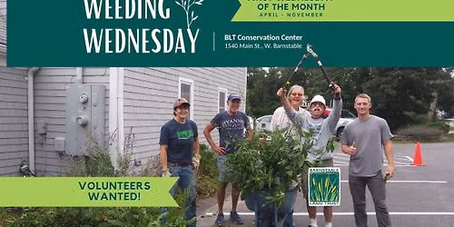 Weeding Wednesday