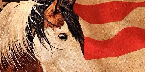 September 5, 2026 Horse Show 4:00 pm