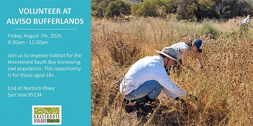 Volunteer Outdoors in Alviso at the Burrowing Owl Project (18+)