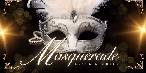 A Knight at the Masquerade Dinner and Auction