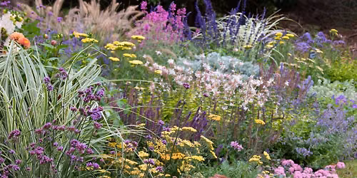 Summer Flower Garden MASTERCLASS