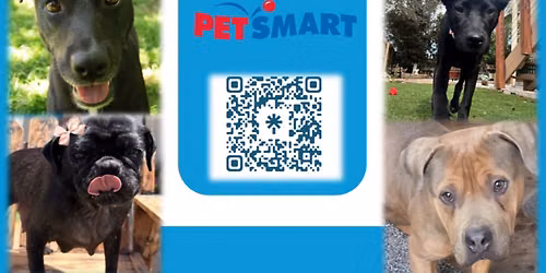 June 6 Adoption Event