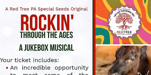 Grooving Through The Ages - RED TREE Performance Academy SPECIAL SEEDS Prod