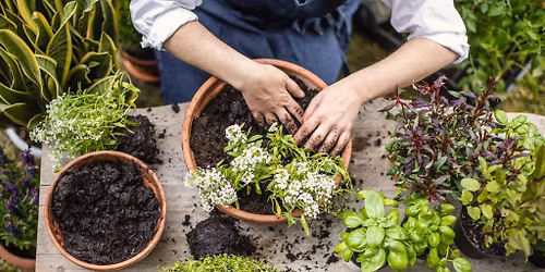 Sow & Savor | Edible Garden Experience