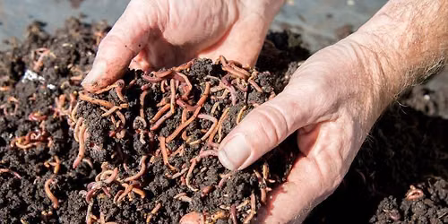 CLASS IS FULL! Worm Farming 101