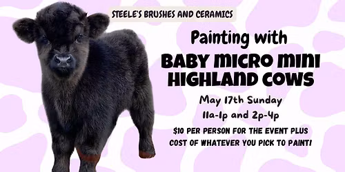Painting with BABY Mini Highland Cows