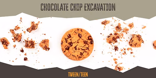 Chocolate Chip Excavation