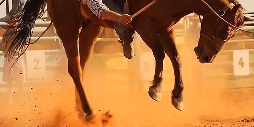 WILMINGTON RODEO 2026