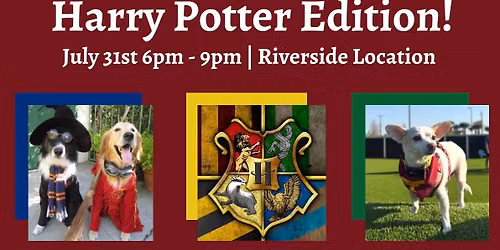 Trivia Night: Harry Potter Edition!