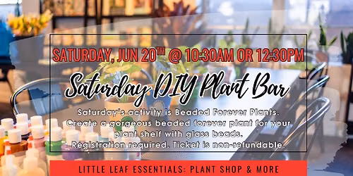 DIY Plant Bar - Beaded Forever Plants (10:30am or 12:30pm)