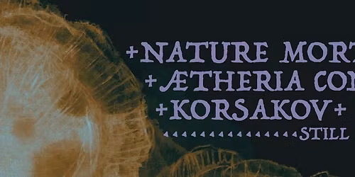 FROZEN NIGHT 21 : \u00c6theria Conscientia \/ Nature Morte \/ Korsakov