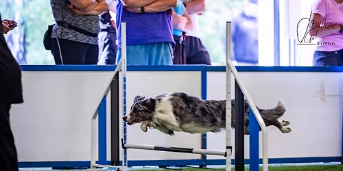 Hikilityn iltakisat kolmosille